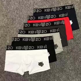 KENZO Fashionable big logo embroidered tiger head briefs Boxer briefs Underwear  2PCS-2406  